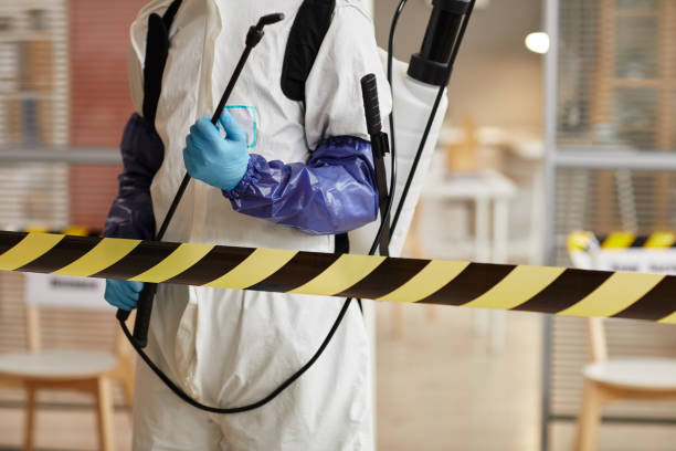 Professional Sewage Cleanup technician working in Monroe, WA